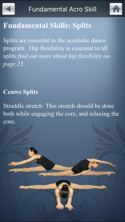 Acrobatic Arts screenshot-3