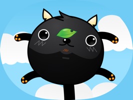 o you know the poorest cat in the world