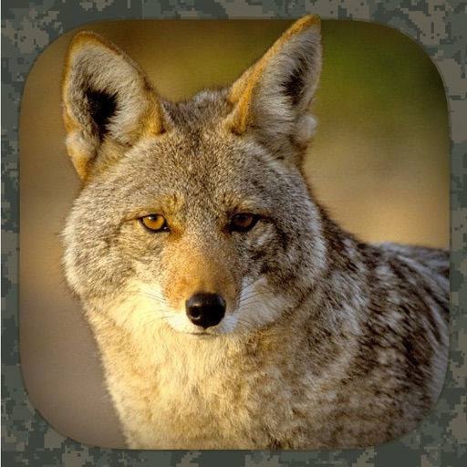 Coyote Hunting Calls Icon