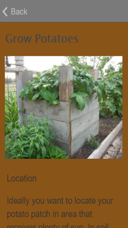 How To Grow Potatoes