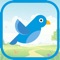 Twitty Bird - The coolest bird game