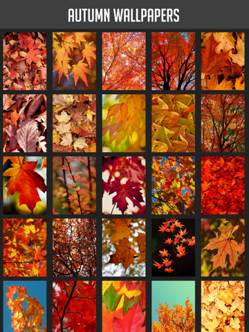 Screenshot #4 pour Autumn Wallpapers