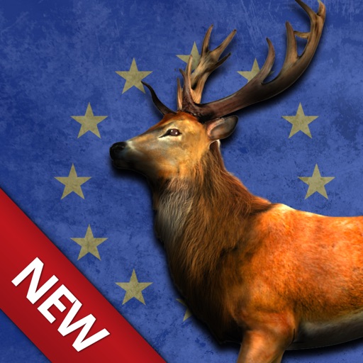 Bow Hunting Europe: Wild Animals Hunter & Sport Target Shooting