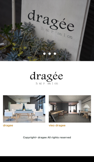 Screenshot #1 pour dragee