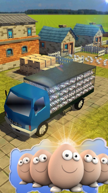 Egg Farm - Chicken Farming