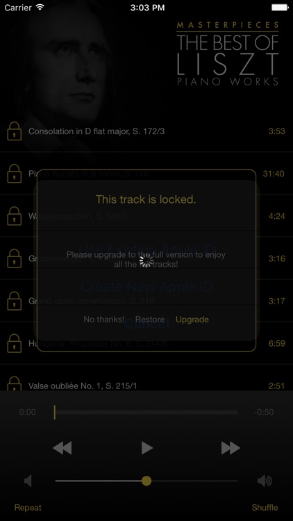 Liszt: Piano Works screenshot-3
