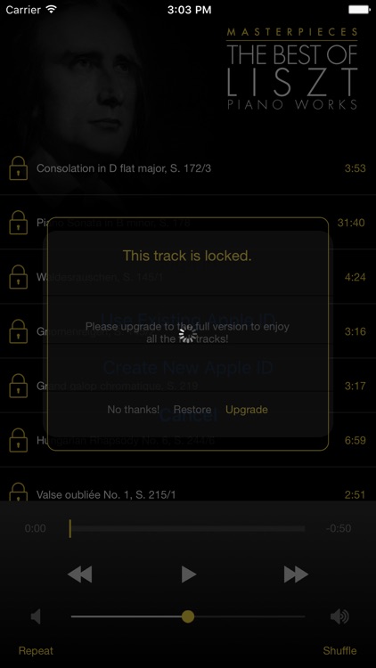 Liszt: Piano Works screenshot-3