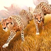 Wild Animal Simulator . Jungle Animals Racing Game 3D