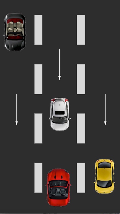 Crazy Wrong Way Racing