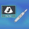 Pregnancy - Sticker Pack