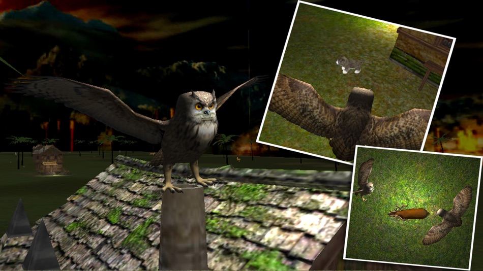 Wild Owl Flying Simulator 3D - 1.1 - (iOS)