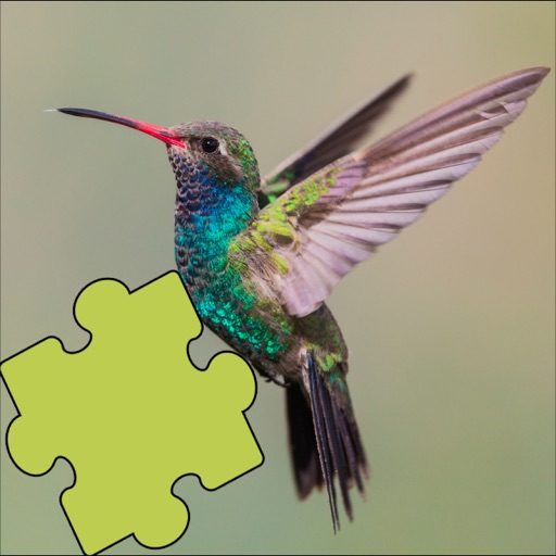 Hummingbirds Amazing Puzzles