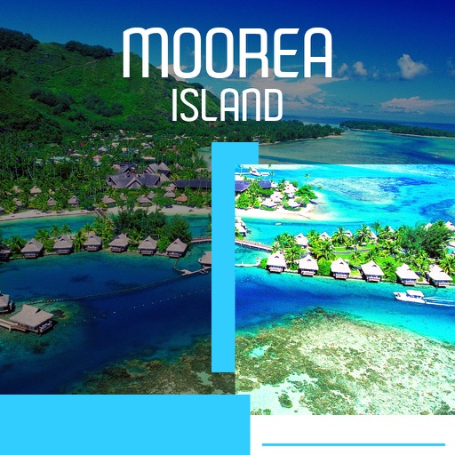 Moorea Island Tourism Guide