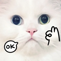My Dumb Cats app icon - Stickers app for iPhone
