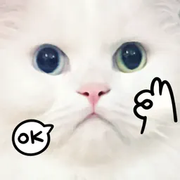 My Dumb Cats app icon