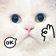 My Dumb Cats app icon - Stickers app for iPhone