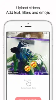 airchnl : social video + chat iphone screenshot 3