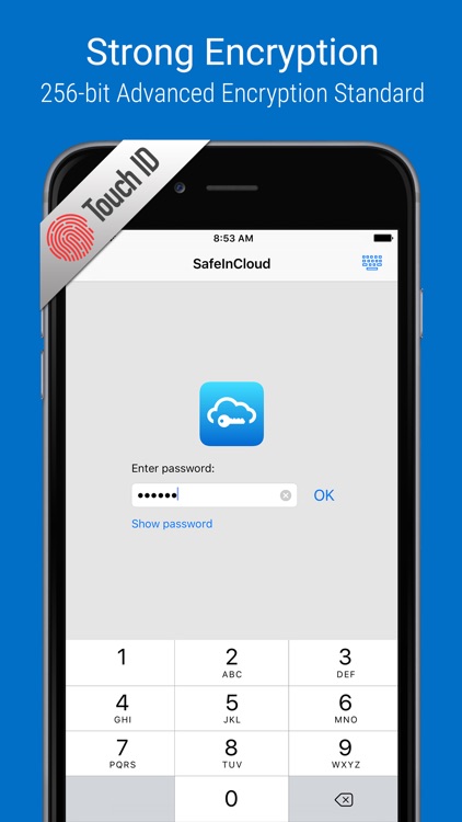 SafeInCloud Pro Password Manager