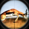 2016 Ultimate Deer Hunt Sniper Free : Forest Hunting challenge -Big Buck Deadly Animal Hunter Season