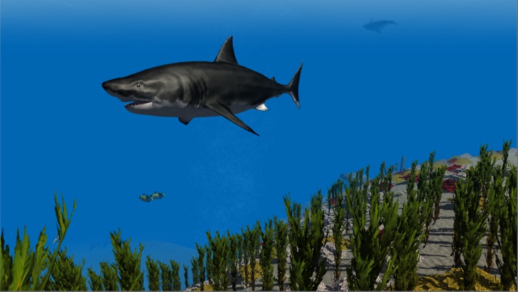 Shark Simulator 3D 2016 - Ocean animals