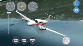 Game screenshot Airplane Singapore hack