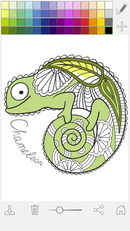 Paint & color mandalas Coloring book for adults screenshot-3