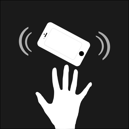 Burglar Alarm & Motion Detector Free icon