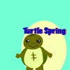 Turtle Spring