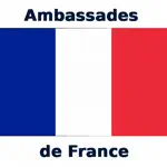 French Embassies App Positive Reviews