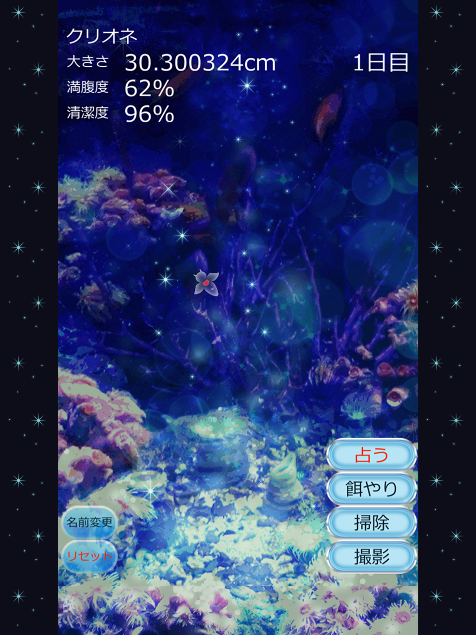 Clione Aquarium Free