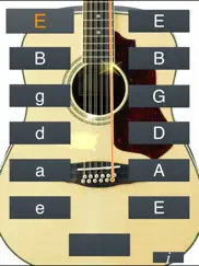 12-string guitar tuner simple ipad images 1