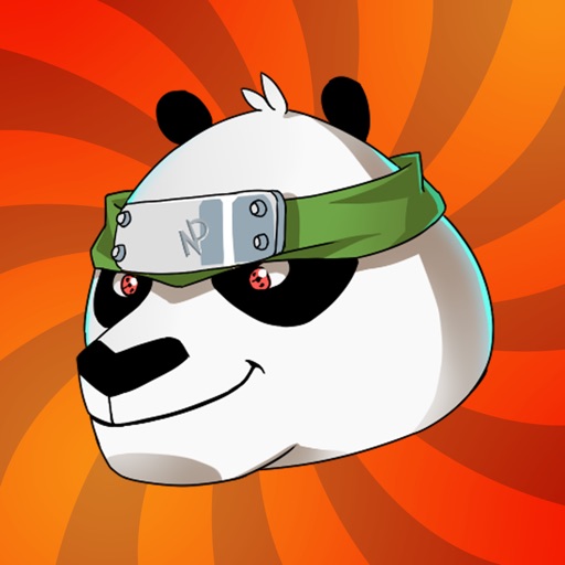 Ninja Panda Master Fighter