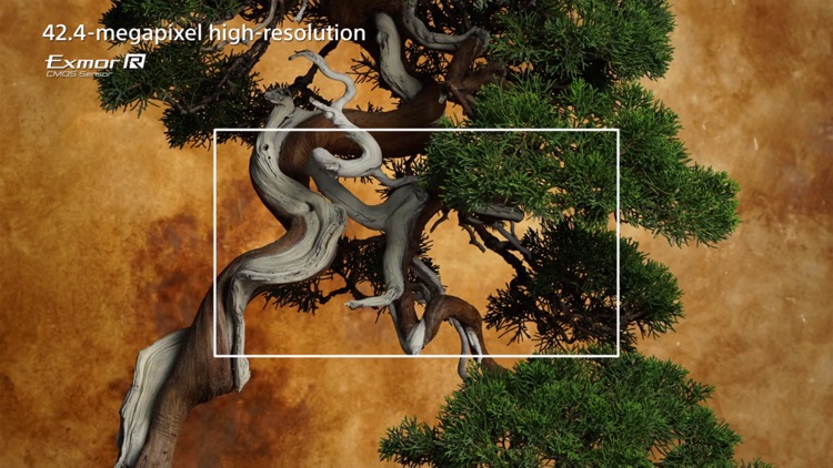 Control for Sony A7R MII