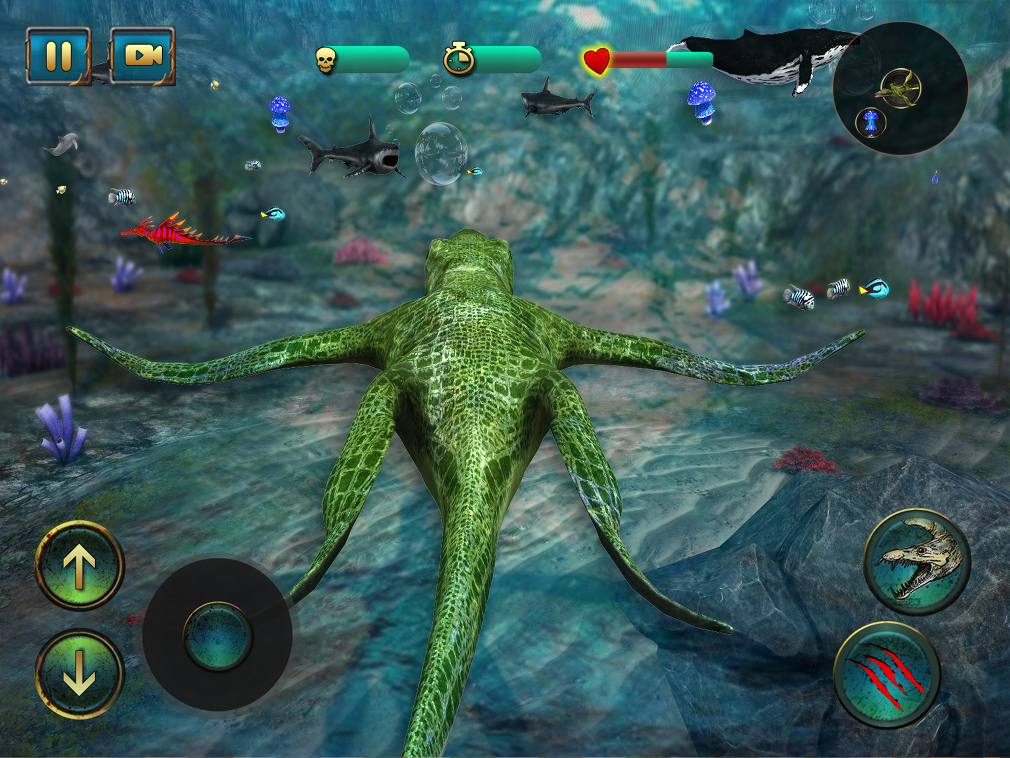 Ultimate Ocean Predator 2016