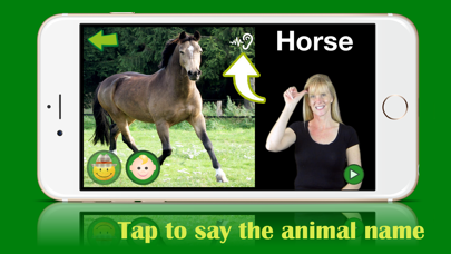 ASL Animals Screenshot