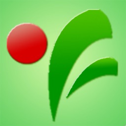 Shanghai Xuhui Yifu Primary School