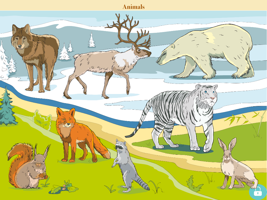 Wunderkind - world of animals game for youngster and cissy
