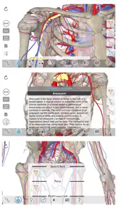 3D Organon Anatomy - Heart, Arteries, and Veins screenshot #3 for iPhone