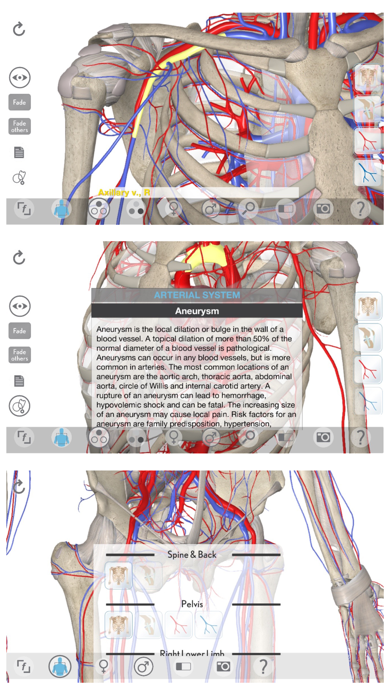 3D Organon Anatomy - Heart, Arteries, and Veins Screenshot