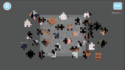【图】Jigsaw Puzzle – NCIS Style(截图1)