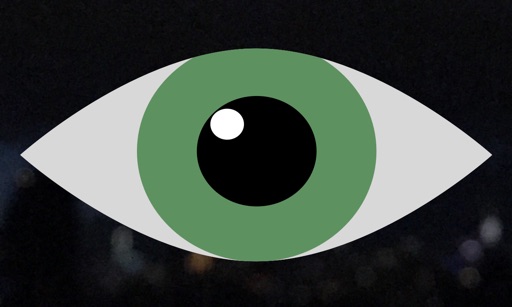 Telescreen – Live Public CCTV and Webcams 앱 아이콘, 美国 App Store 가격 비교