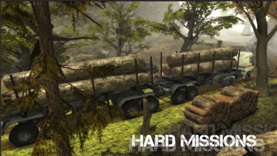 Truck Simulator Offroad Screenshot