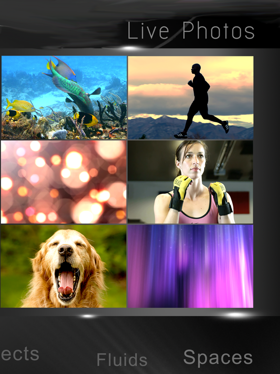 Live Wallpaper Collection - Photo Video HD for Lock Screen iPad screenshot 1 - Utilities app