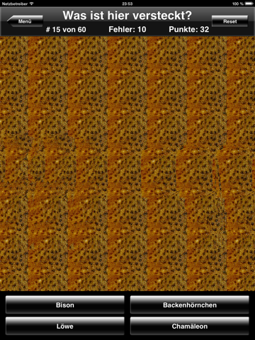 das magische auge stereogramm quiz ipad bildschirmfoto 2