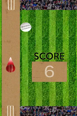 Game screenshot Bing Bong Cricket apk