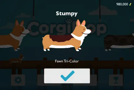 Corgi Flop