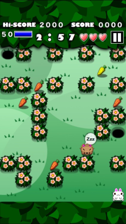 Rabbit MAZE Free screenshot-3