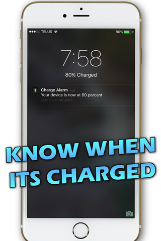 Charge Alarm Pro screenshot 2