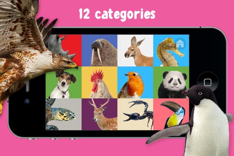 100 Animals Words for Babies & Toddlers School Edition screenshot 3