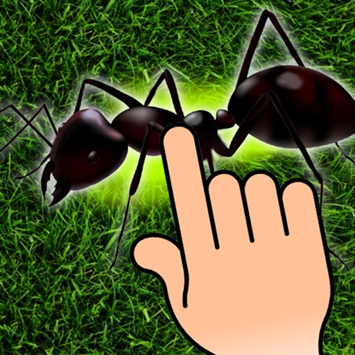 Ant Smasher - Kids Games Icon